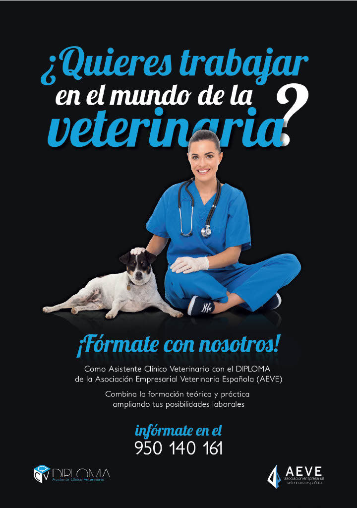 Diploma Asistente Clínico Veterinario