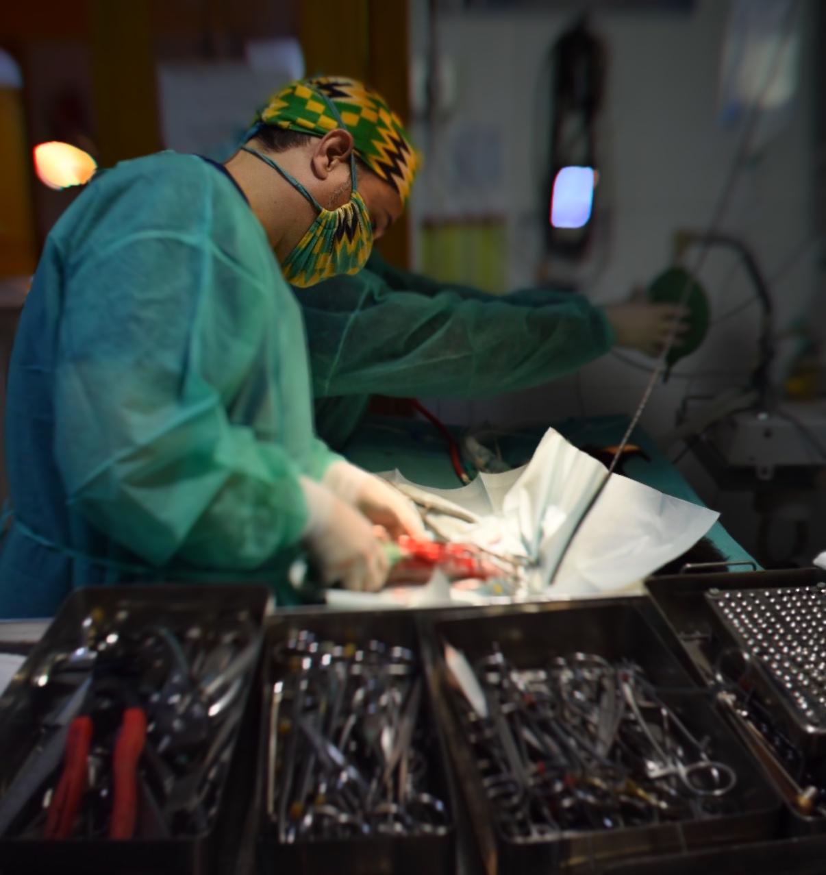 Equipo de Centro Veterinario Chiva atendiendo a una mascota en su clínica de Chiva, Valencia