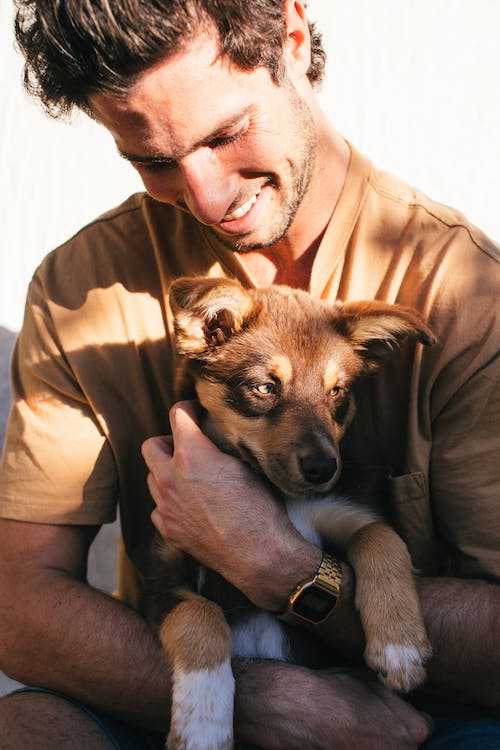 Pet Owner 6